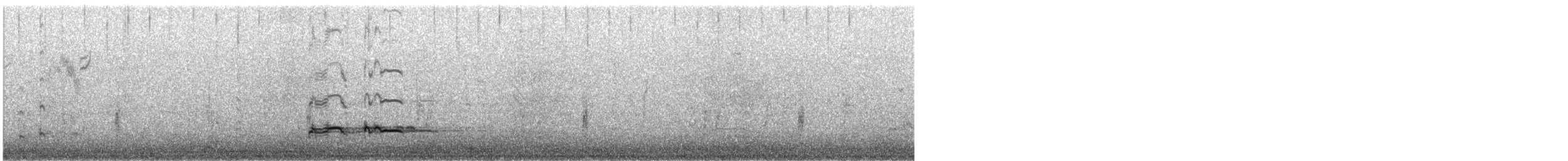 Western Grebe - ML611059236