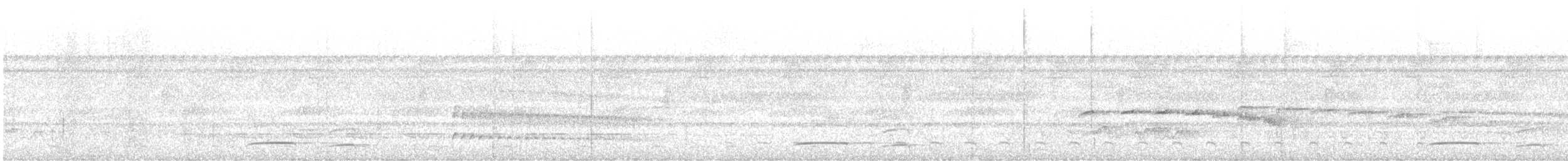 Большеголовый плосконос - ML611059862