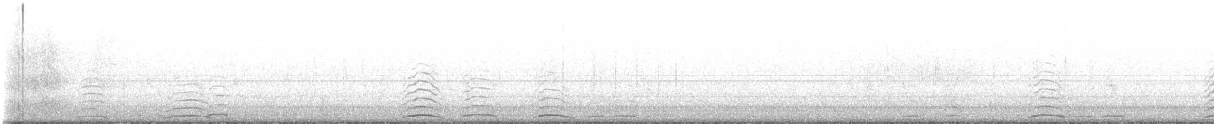Cygne siffleur - ML611060632