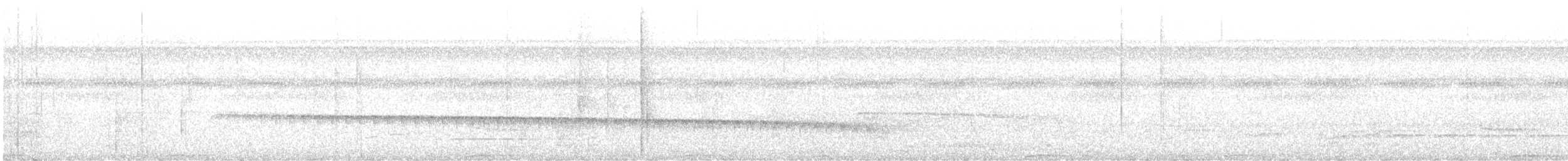 Weißstirn-Ameisenschnäpper - ML611060952