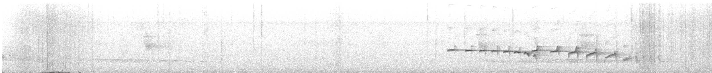 クリオアリドリ（hemimelaena） - ML611061448