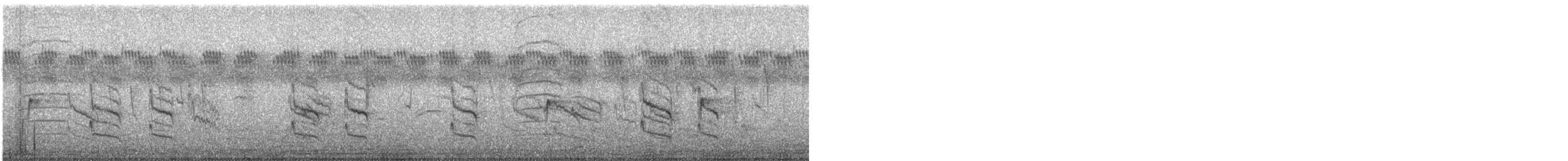 villnissanger (brevicaudata gr.) (gråryggsanger) - ML611063835