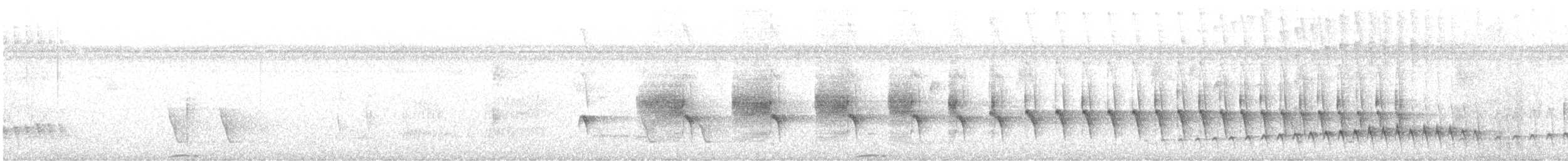Weißkehl-Ameisenschlüpfer - ML611065142