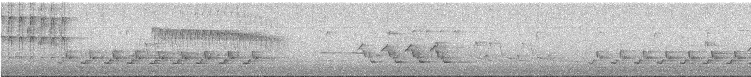 Carolina Wren - ML611066403