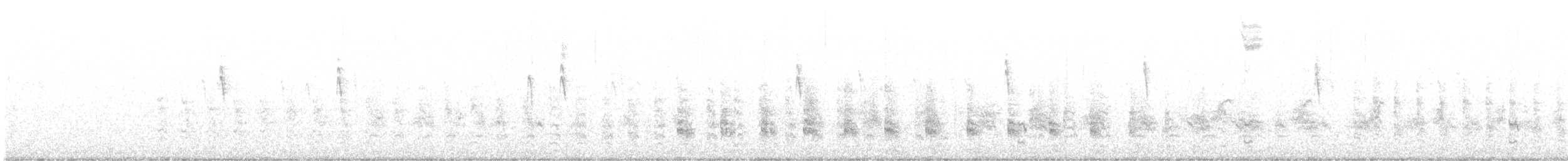 Râle tapageur (crepitans/waynei) - ML611068806