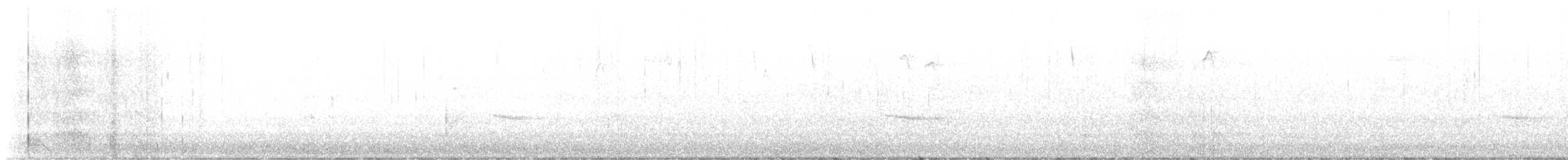 Дрізд-короткодзьоб плямистоволий - ML611069313