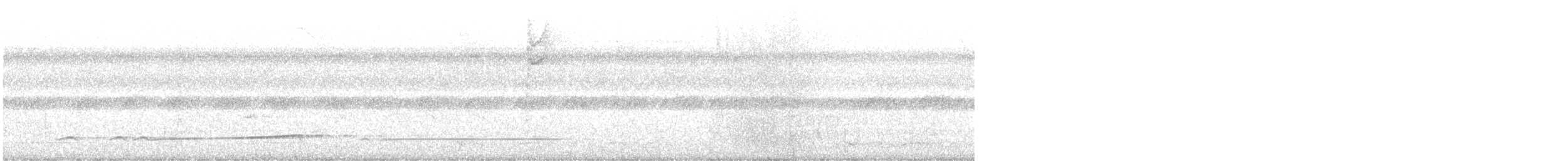 Лінивка-смугохвіст західна - ML611071620