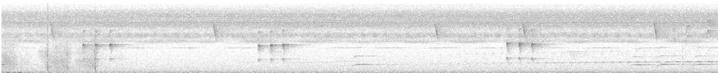 Todirostre de Snethlage - ML611071689
