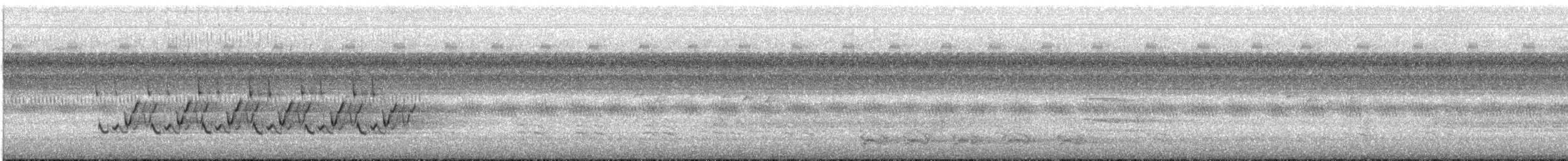 Поплітник каролінський - ML611075385