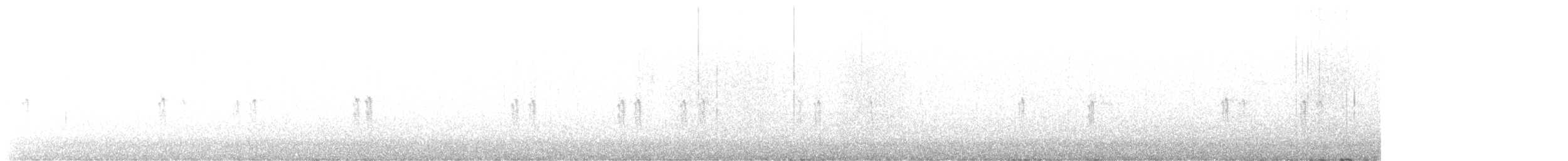křivka bělokřídlá - ML611076660