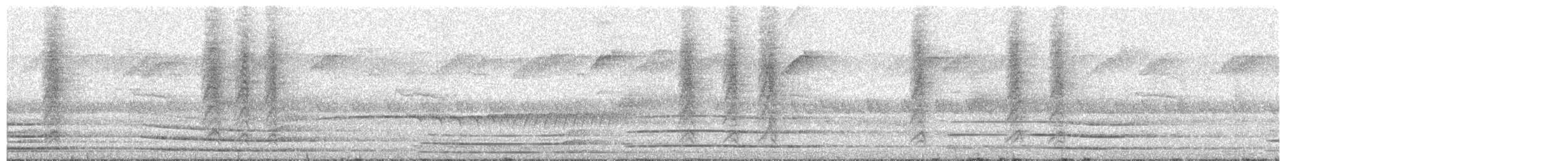 Newtonia Oscura - ML611079906