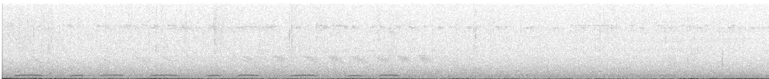 holub tonžský - ML611084052