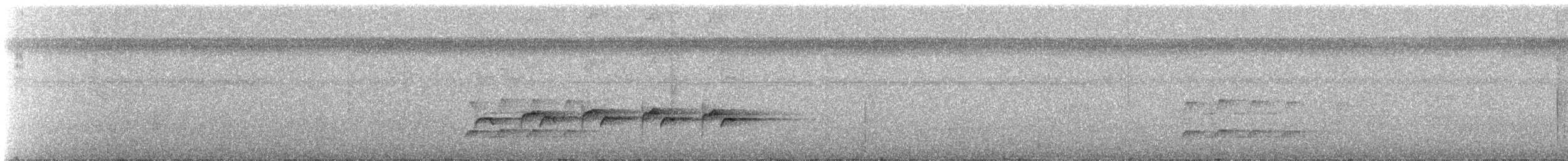 Willis's Antbird - ML611085721