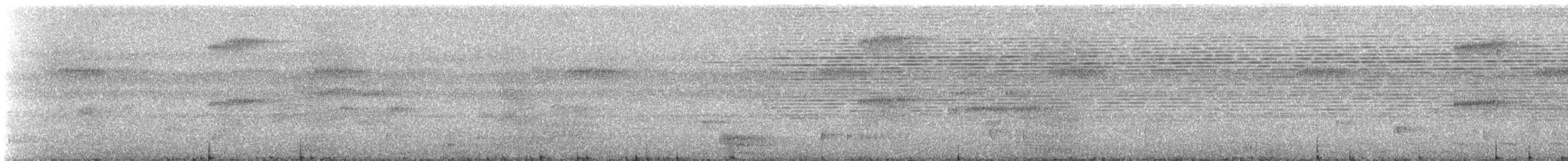 Короткохвостая аруна - ML611085888
