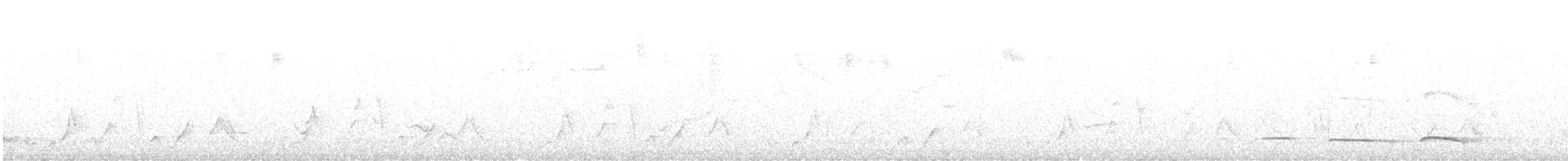 Düz Kuyruklu Çıtkuşu [euophrys grubu] - ML611093658