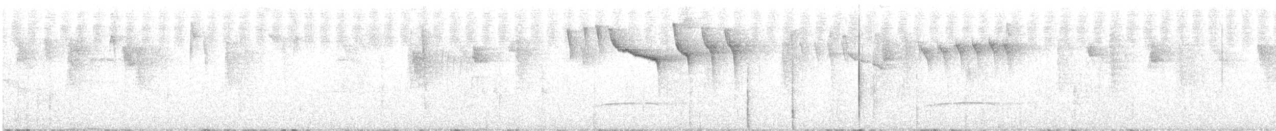 Chlorospin ombré - ML611095257