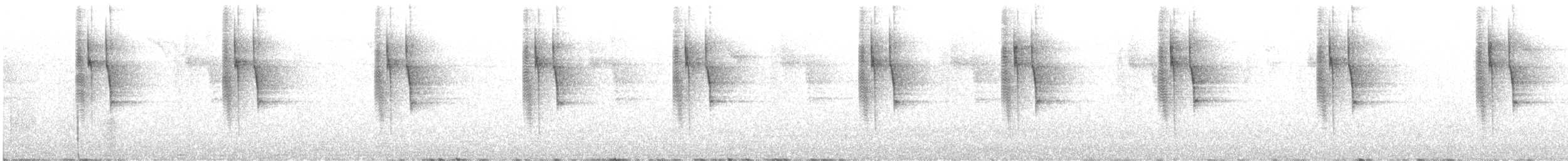 Зелоногрудый фиалкоух (cyanotus/crissalis) - ML611095273