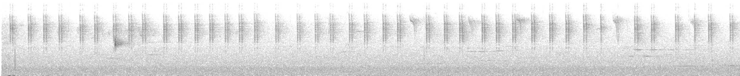 Черноухий колибри (maculata) - ML611095334