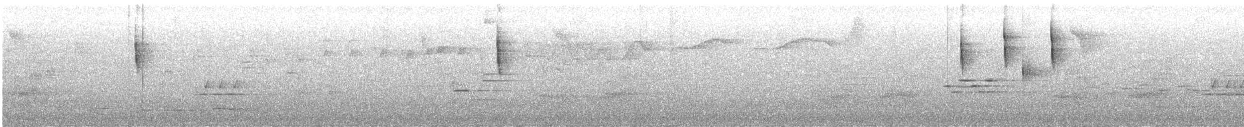 Коронник смугастоголовий (підвид daedalus) - ML611095364