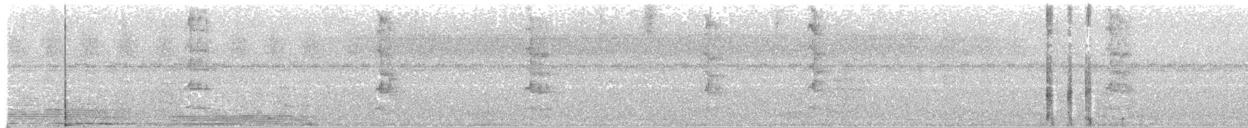 Spot-winged Parrotlet - ML611101281