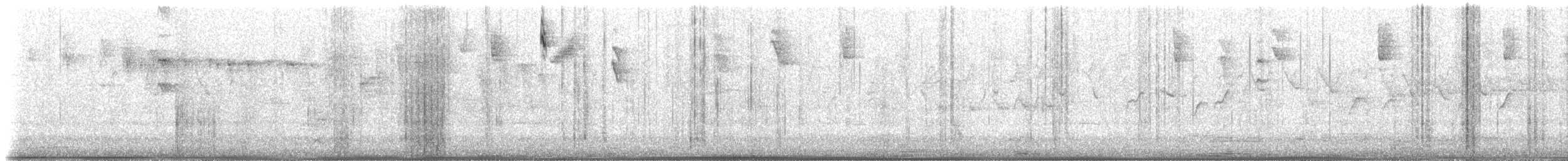 maskeblomsterborer (cyanea gr.) - ML611105113