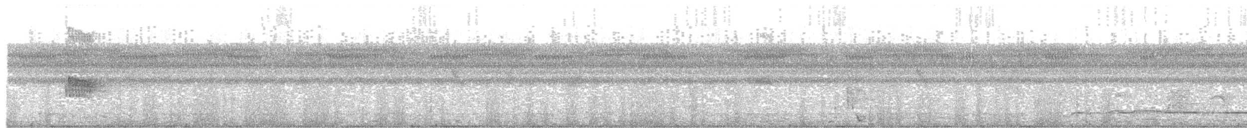Mottle-backed Elaenia - ML611110456