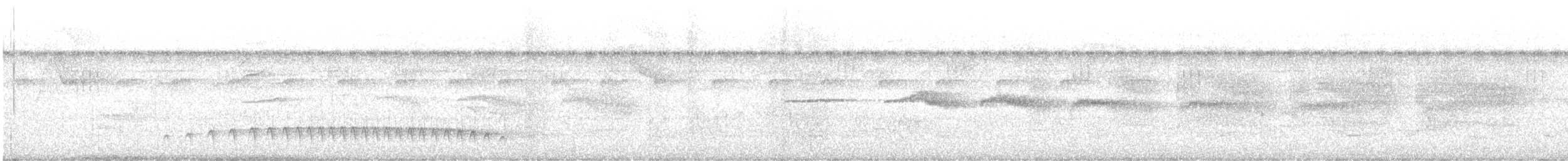 Weißbrauen-Ameisenfänger - ML611112478