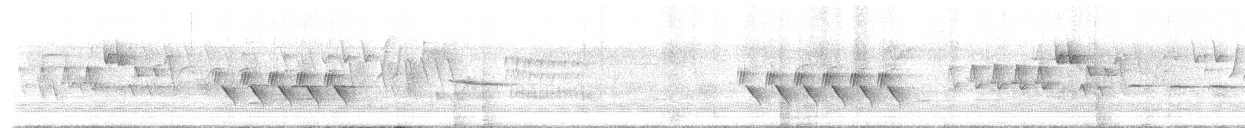 Bewick's Wren - ML611115528