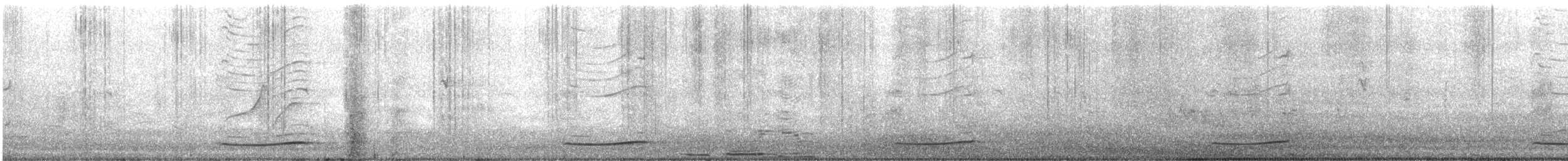 Тихоокеанский коэль (cyanocephalus/subcyanocephalus) - ML611116125