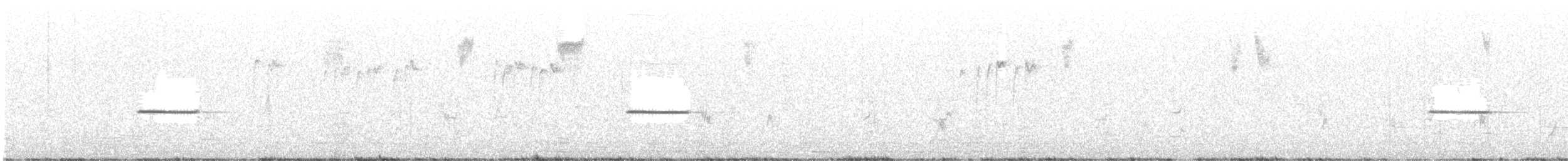 svarthonningeter - ML611118025