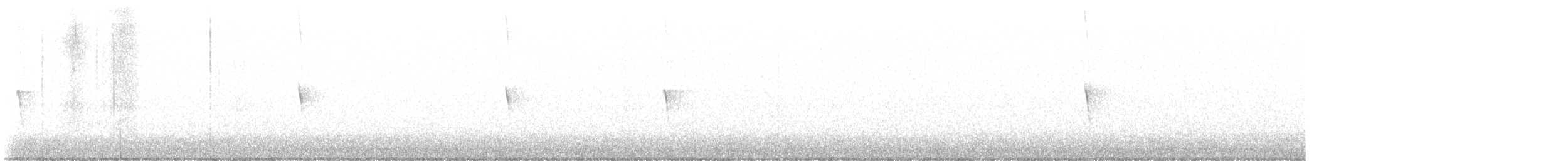 Weißbauch-Phoebetyrann - ML611120507