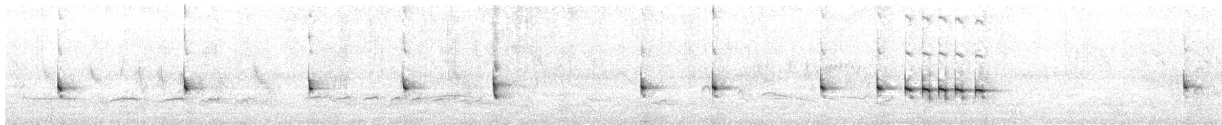 Серогрудый коростелёк - ML611122196
