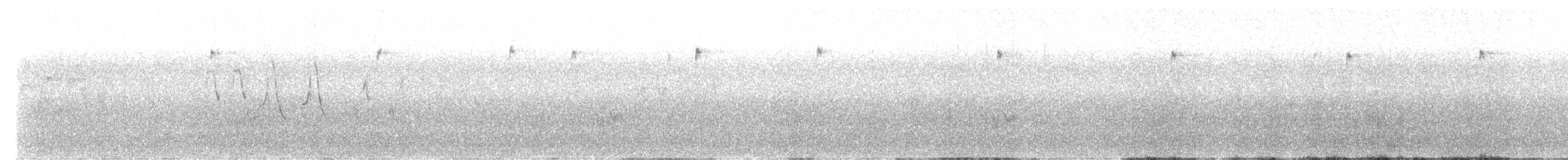 Black-throated Gray Warbler - ML611123691