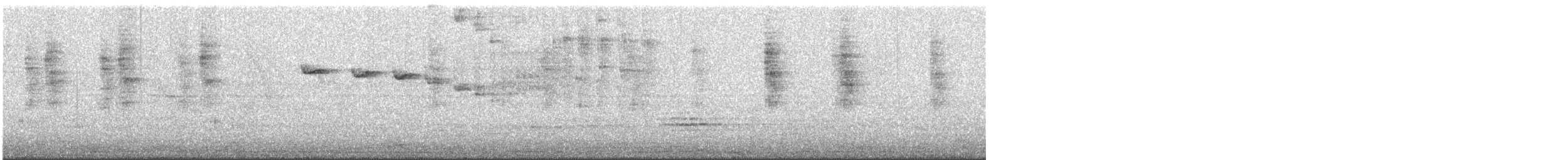 Schwarzschwanzsylphe - ML611125170