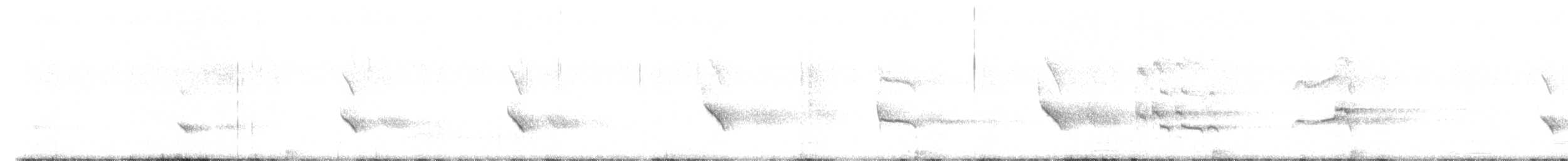 Скопа західна (підвид carolinensis) - ML611125381