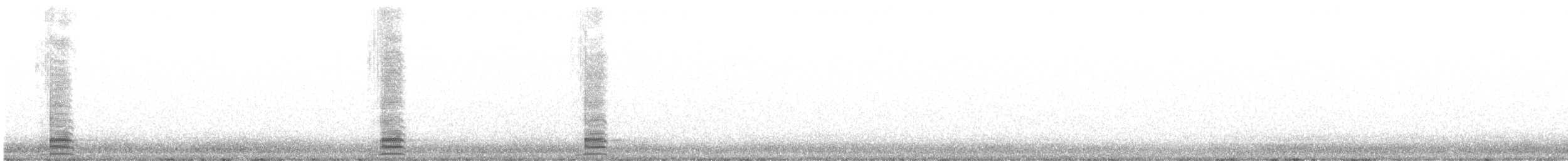 Grand Corbeau - ML611126551