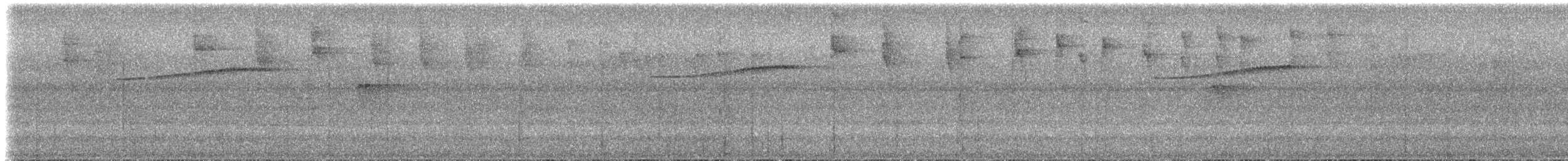 Black-streaked Puffbird - ML611128734