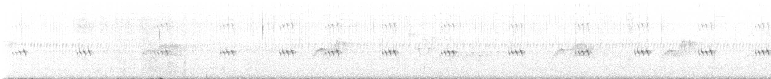 Moucherolle phébi - ML611129666