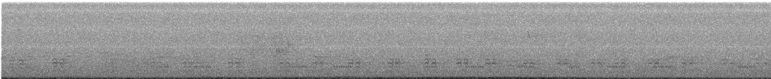 Beyaz Göğüslü Sıvacı [lagunae grubu] - ML611132223