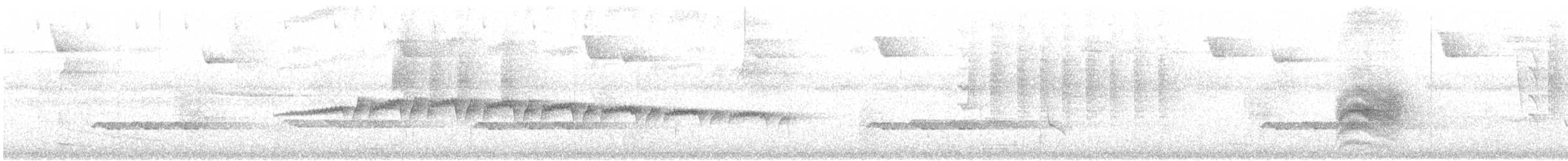 Мурав’янка-куцохвіст плямиста - ML611134792