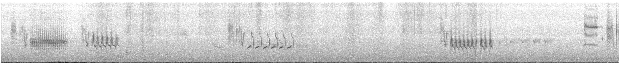 Grass Wren - ML611139663