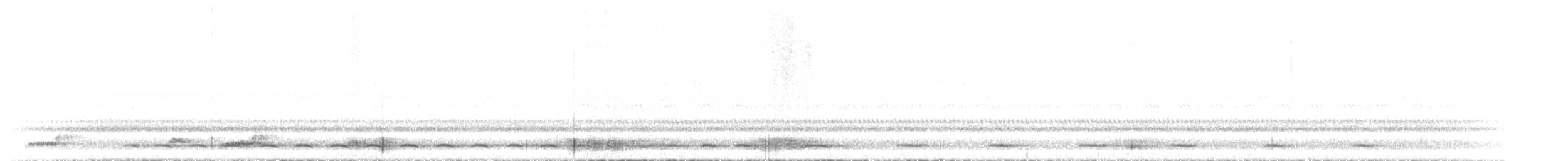 kulíšek mexický (ssp. gnoma) - ML611141151