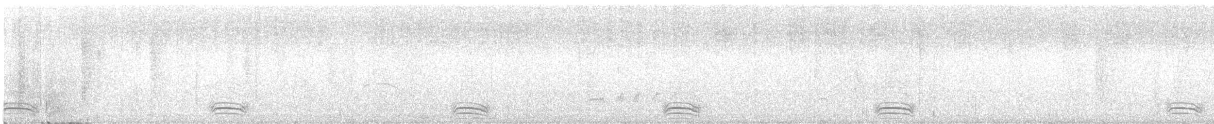 Planalto Gri Karıncaavcısı - ML611143239