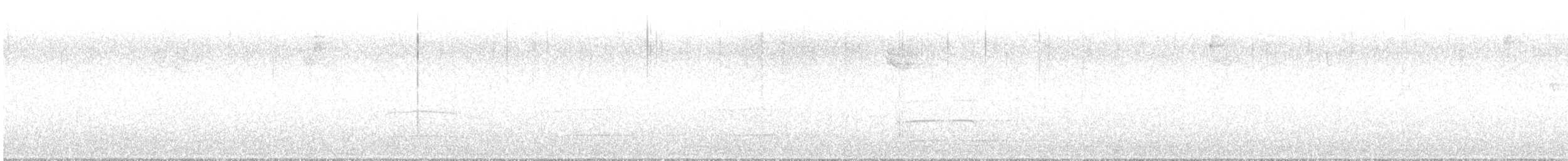orel bělohlavý - ML611144581