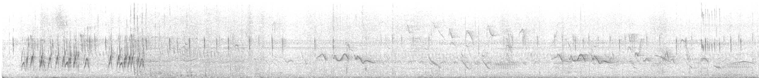 Büyük Kuyruksallayan Tiranı (gracilis) - ML611145053