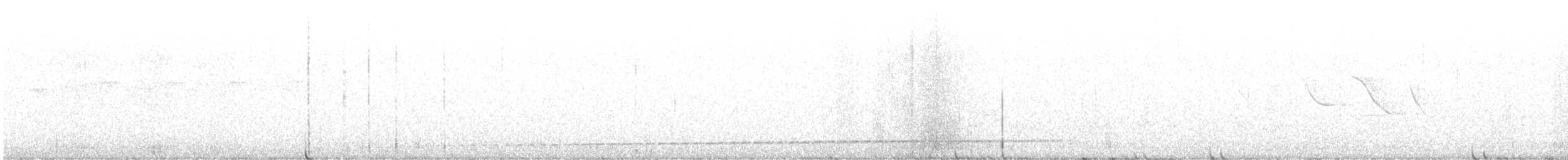 Rufous-tailed Antthrush - ML611146016