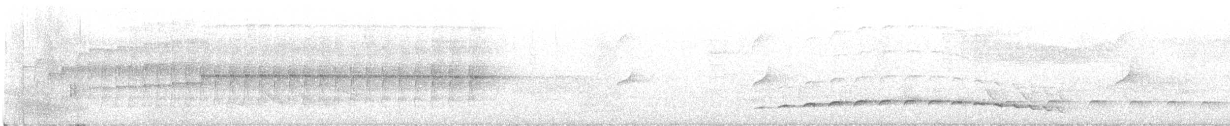 Fleckenbrust-Ameisenvogel - ML611147304