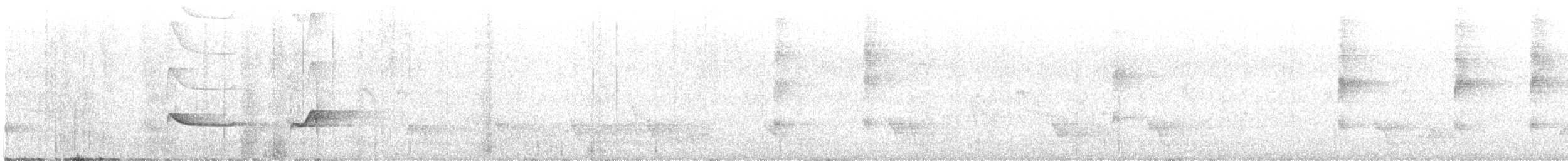 Antriade turdoïde (groupe turdina) - ML611147473