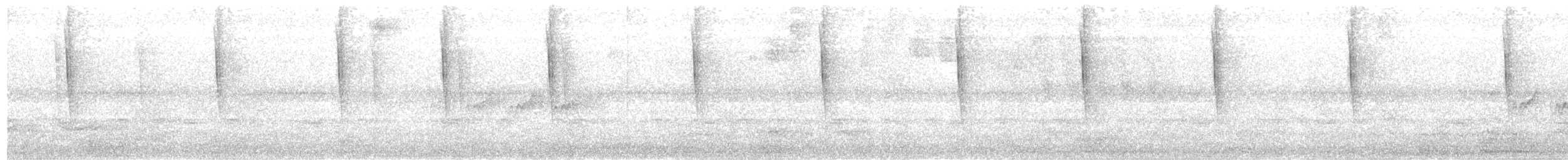 Schwarzbrust-Mangokolibri - ML611148429