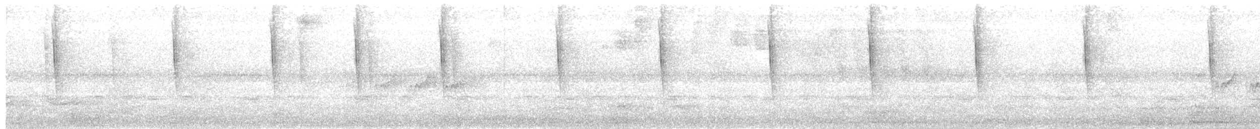 Black-throated Mango - ML611148429